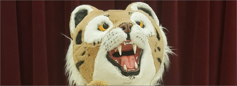 School Mascot